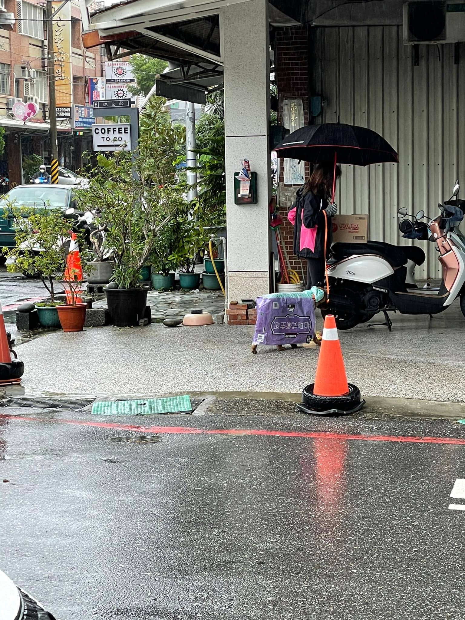 行走的衛生紙。(圖/翻攝自爆廢公社)