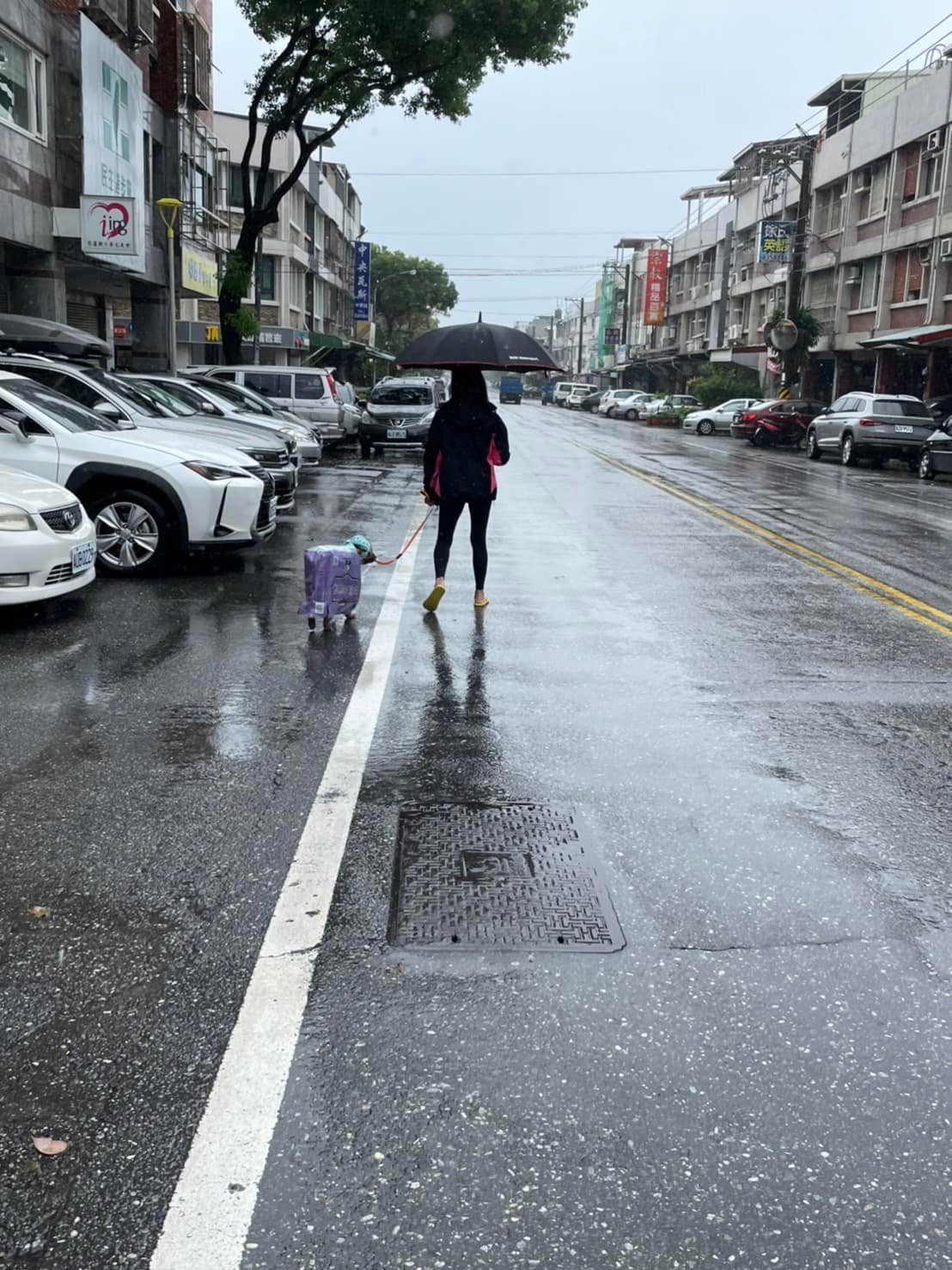行走的衛生紙。(圖/翻攝自米克斯傳奇Facebook)