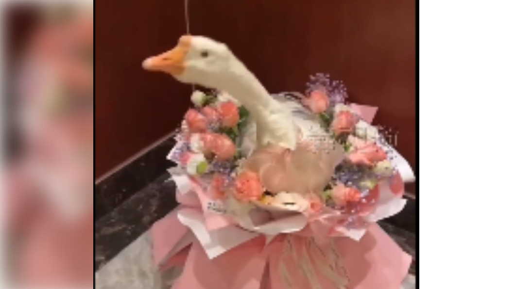 大陸網友大搞創意,把大鵝化身成「天鵝花束」。(圖/翻攝自三湘都市報微博)