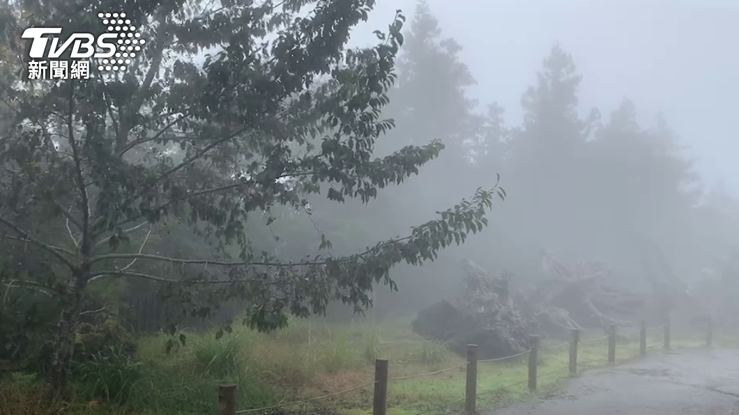 冷氣團最強時刻未到！週三～週六乾冷逼10度　高山降雪機率曝