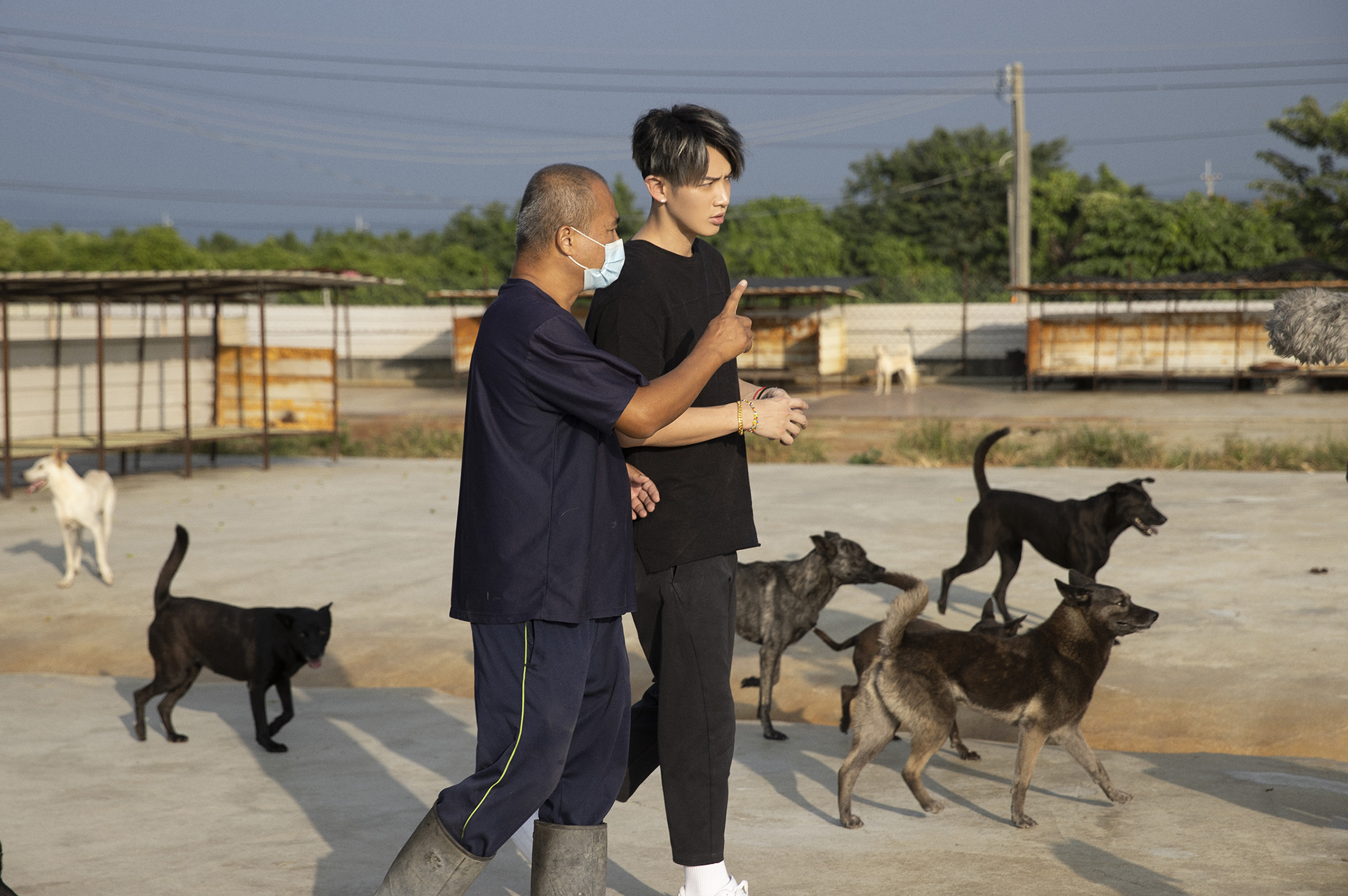園區內有上百隻無家可歸的流浪狗，這也讓柯震東相當心疼。（圖／愛最大慈善光協會提供）
