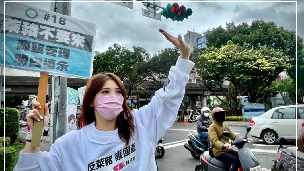 「反萊豬 大眾走」聯盟召集人陳思宇。（圖／翻攝自陳思宇臉書）