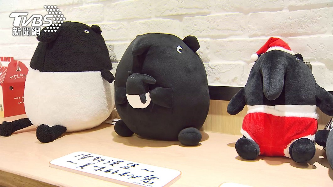 圖／TVBS