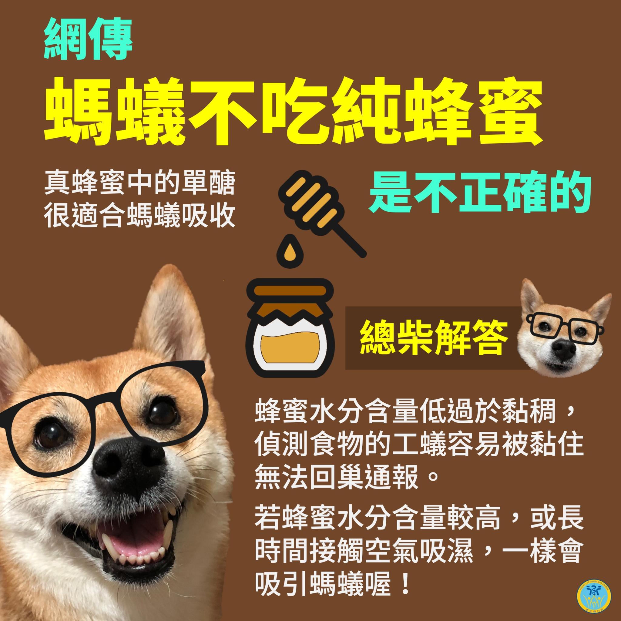 網路流傳「螞蟻不吃純蜂蜜」,食藥署出面闢謠。(圖/翻攝自衛福部臉書)
