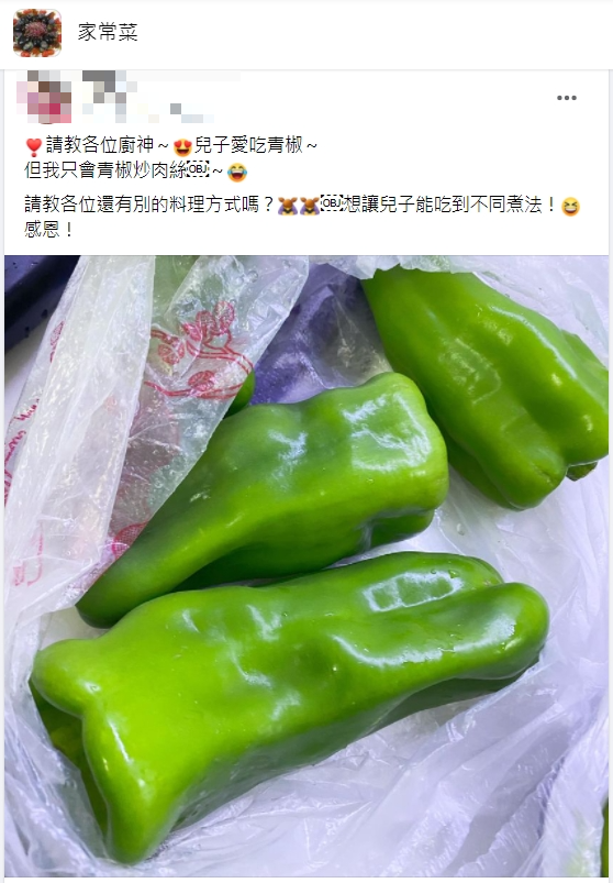 有網友詢問青椒除了炒肉絲,還有什麼做法。(圖/翻攝自臉書《家常菜》)