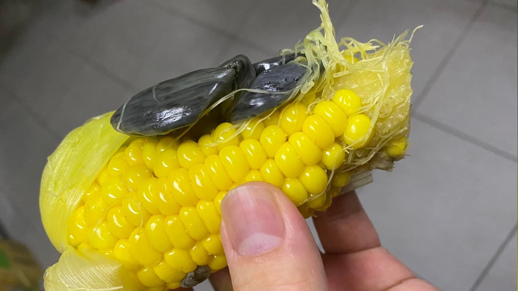 網友驚見玉米長了一團黑色如肉瘤般的東西,上網求解。(圖/翻攝自「花蓮同鄉會」臉書)