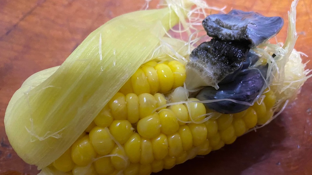 網友驚見玉米長了一團黑色如肉瘤般的東西,上網求解。(圖/翻攝自「花蓮同鄉會」臉書)