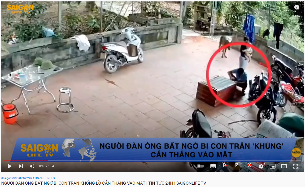 男子將裝有蟒蛇的木箱擺在家門前。（圖／翻攝自《SaiGon Life TV》YT）
