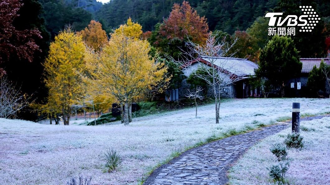 武陵農場地面結白霜　遊客大讚猶如北國風景