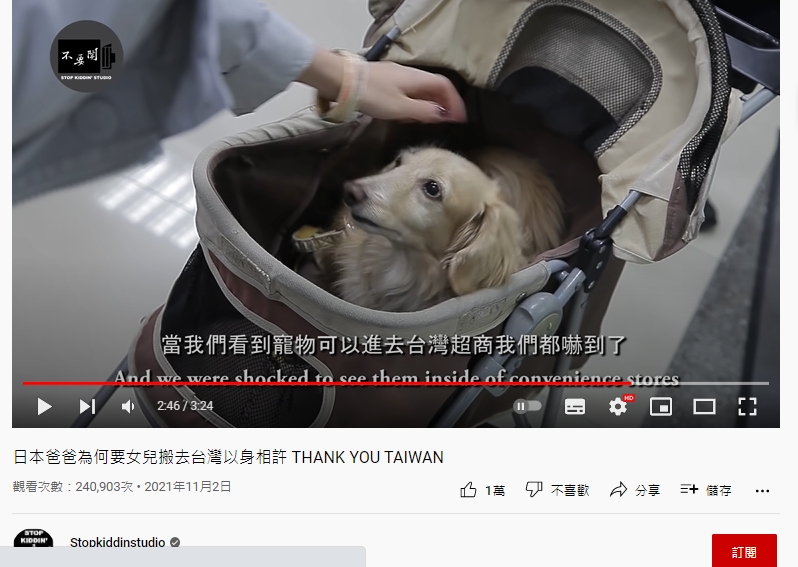 父女在台見到寵物可進入超商非常震驚。(圖/翻攝自Stopkiddinstudio YouTube)