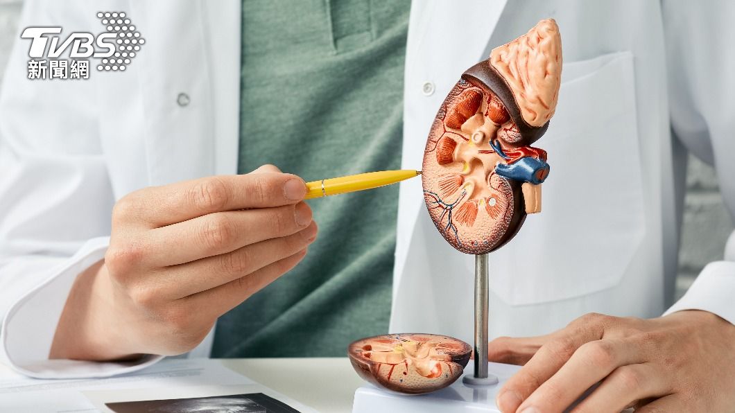 當腎臟衰竭，得透過血液透析替代腎臟功能。（示意圖／shutterstock達志影像）