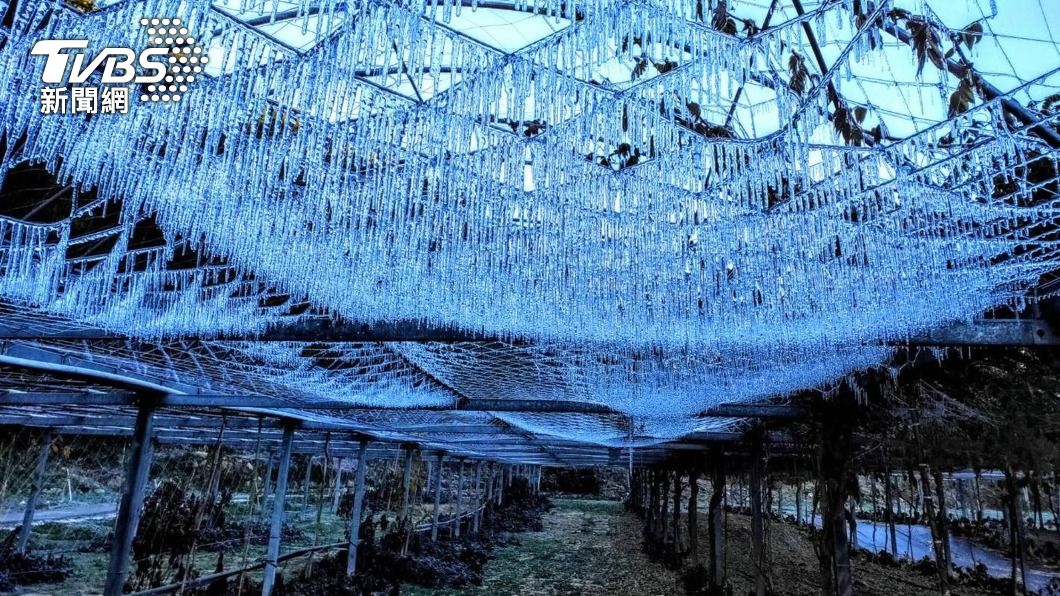冰雪奇緣夢幻場景!武陵農場現水晶簾冰柱 遊客:太美了