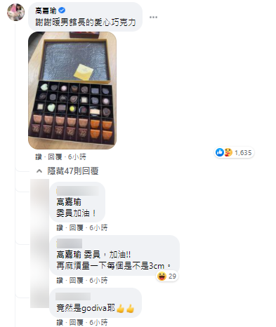 館長力挺高嘉瑜。(圖/翻攝自飆捍Facebook)