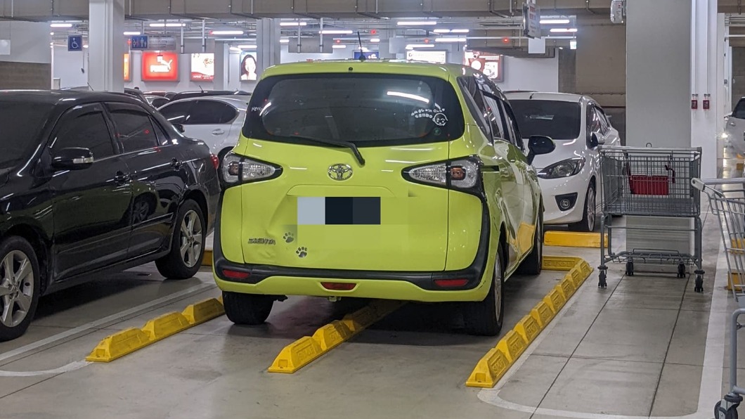 奇葩三寶！霸氣把車停這格　全網看傻：他家購物車？