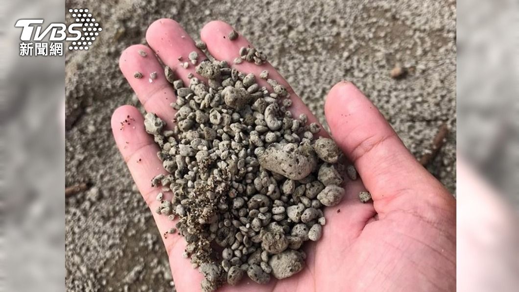 日本火山浮石漂流花蓮外海　海巡：數量有增加趨勢