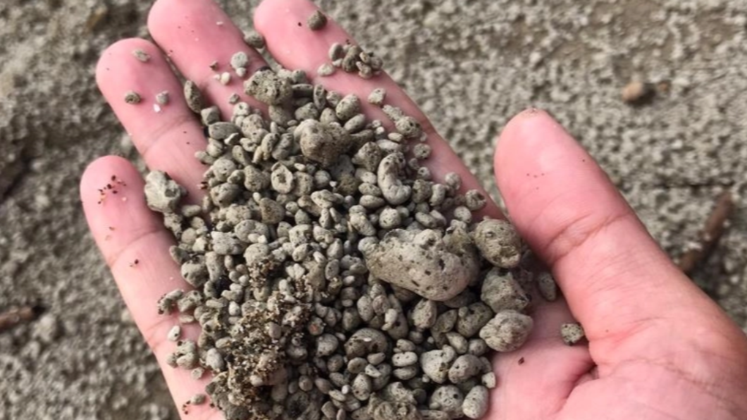 日本火山浮石影響台灣海域範圍擴大! 海委會:船隻來往注意