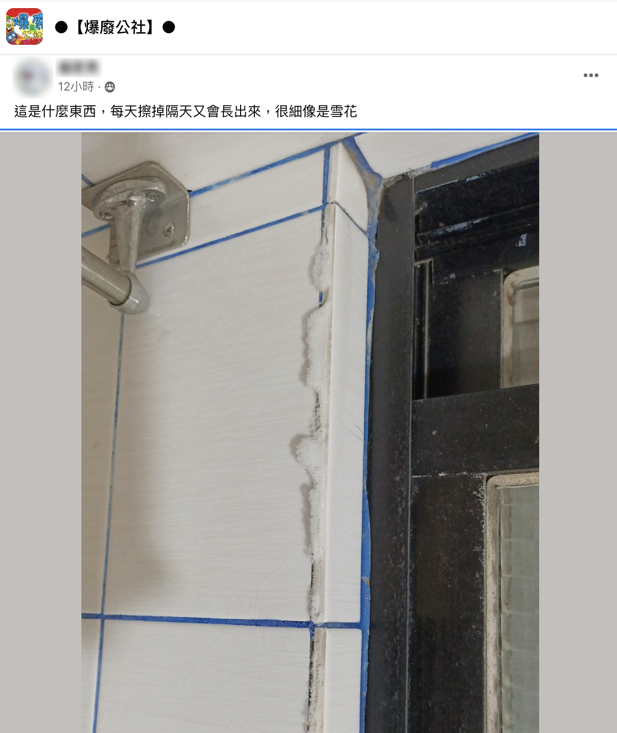 網友在臉書社團詢問家中浴室出現的東西是什麼。(圖/翻攝自爆廢公社)