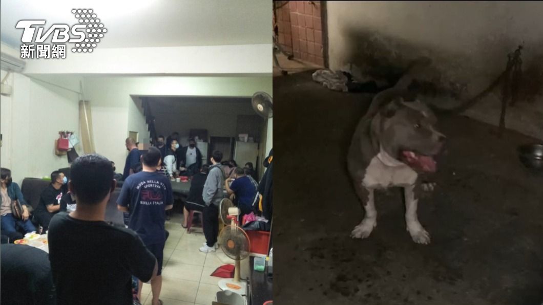 職業賭場藏岡山民宅！嫌養比特犬把風　狂吠通知警來攻堅