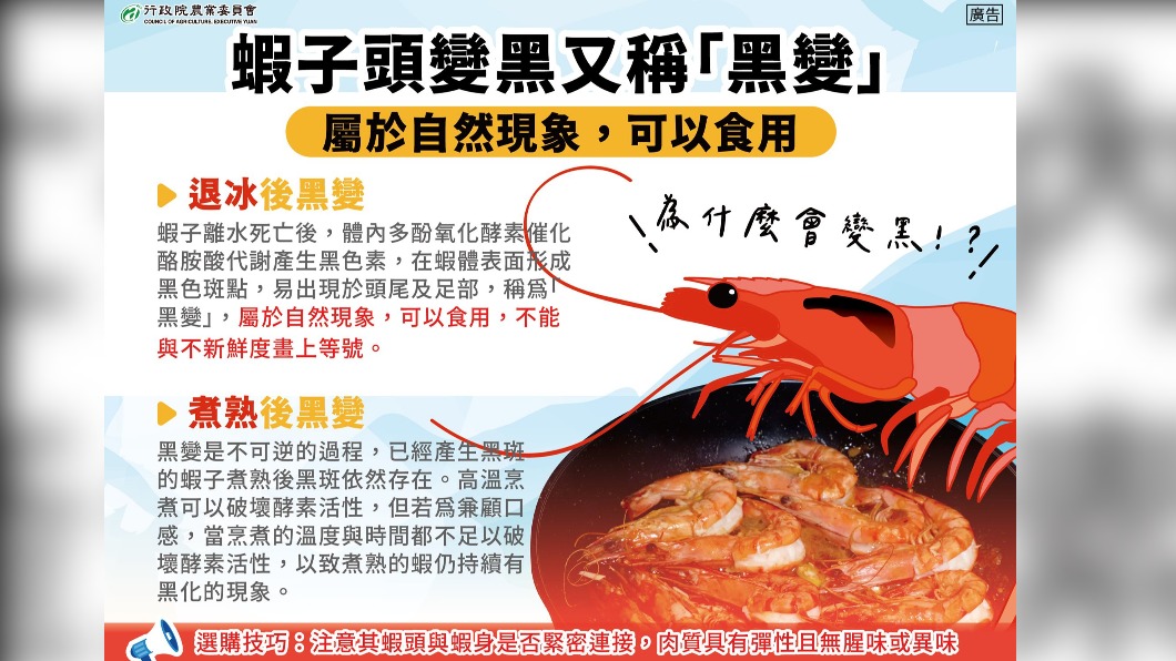 蝦頭黑掉屬於正常現象。(圖/翻攝自農委會臉書)