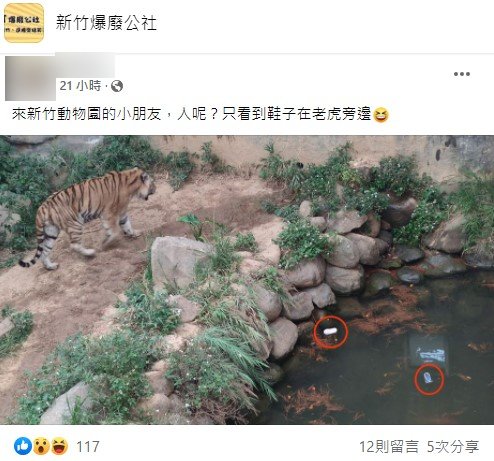 網友將驚人照片PO上網。（圖／翻攝自新竹爆廢公社）