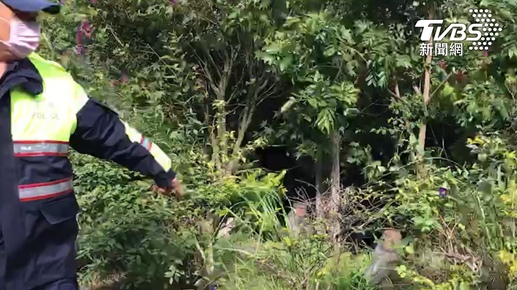 警方到場時，猴群仍未散去。（圖／警方提供）