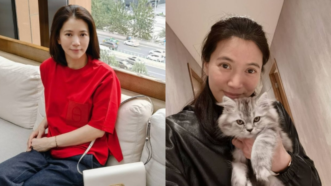 香港女演員袁詠儀。（圖／翻攝自anitayuenwy IG）