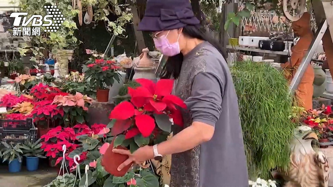 一年一度聖誕節即將到來。（圖／TVBS資料畫面）