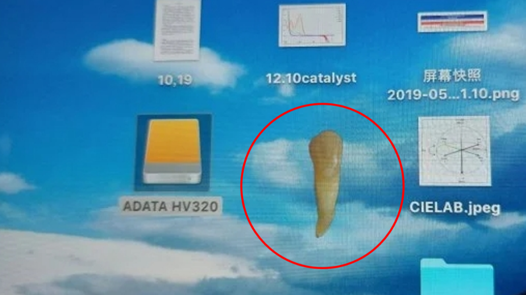電腦螢幕遭「牙齒」綁架！她崩潰怎樣都刪不掉　全場笑翻