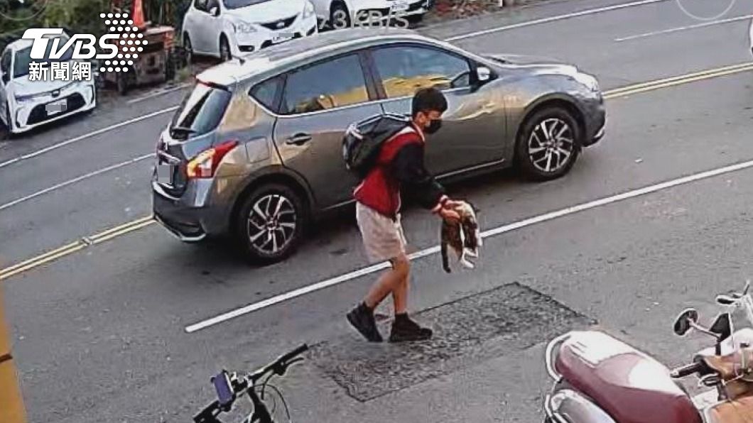 流浪貓遭車撞橫死馬路上 國中生將貓屍移路旁感動網友