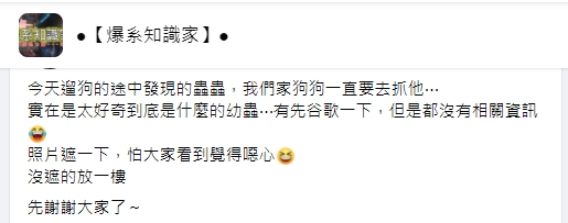有網友在臉書社團詢問這是什麼動物的幼蟲。(圖/翻攝自臉書《爆系知識家》)