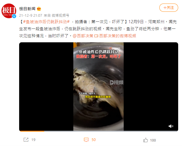 (圖/翻攝自極目新聞微博)