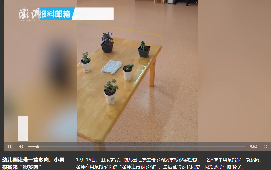 只有男童一人帶錯多肉。（圖／翻攝自澎湃新聞）