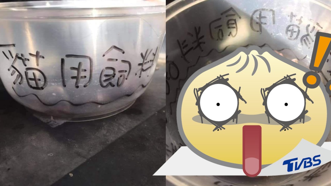 貓碗詭現6團「粉色生物」！　他靠近一看愣了：怎麼辦