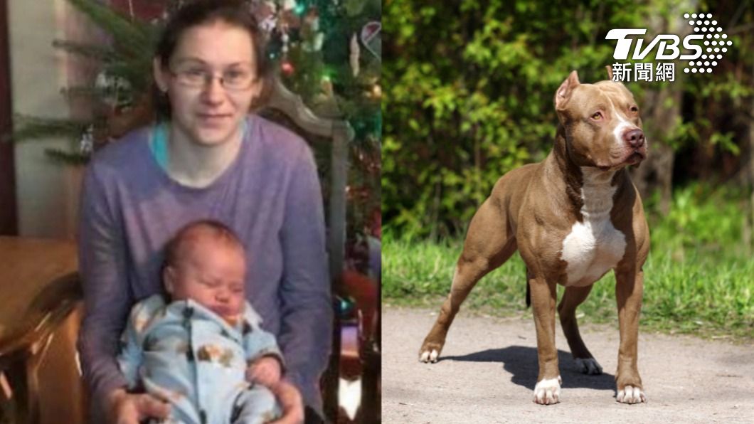 勇媽救兒單挑比特犬! 雙臂被扯斷慘死 狗早露攻擊端倪