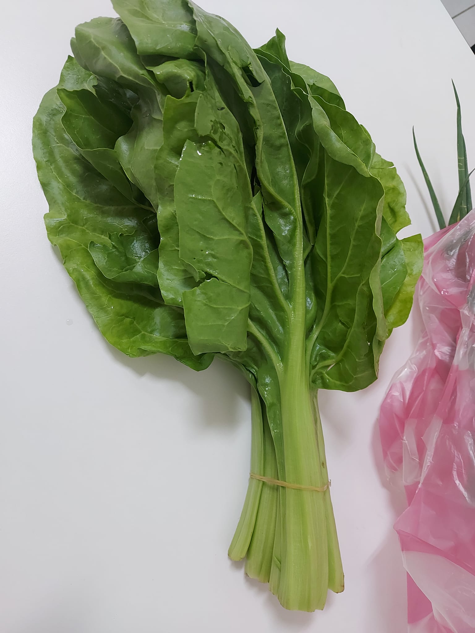 莙薘菜。(圖/翻攝自家常菜Facebook)