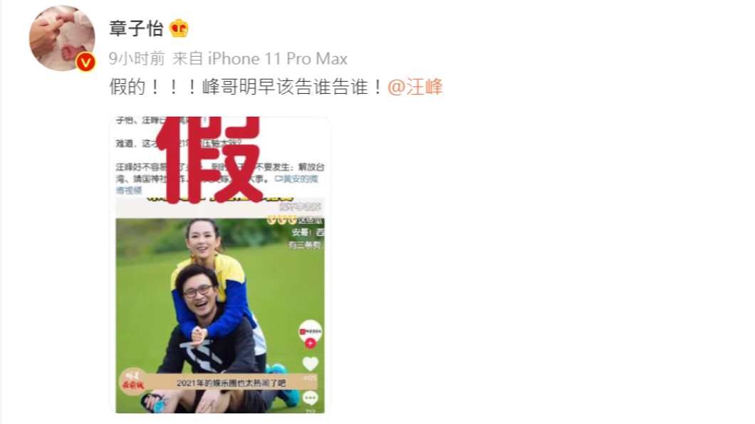 章子怡氣炸，Tag老公汪峰準備提告。（圖／翻攝自微博／章子怡）