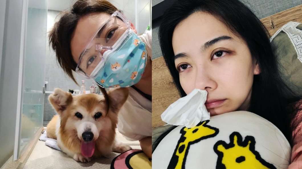 被寵物殯葬業「無理冒犯」邵庭火大轟:生意不好理所當然