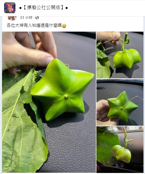 民眾詢問這是什麼果實。（圖／翻攝自臉書社團《爆廢公社公開版》）