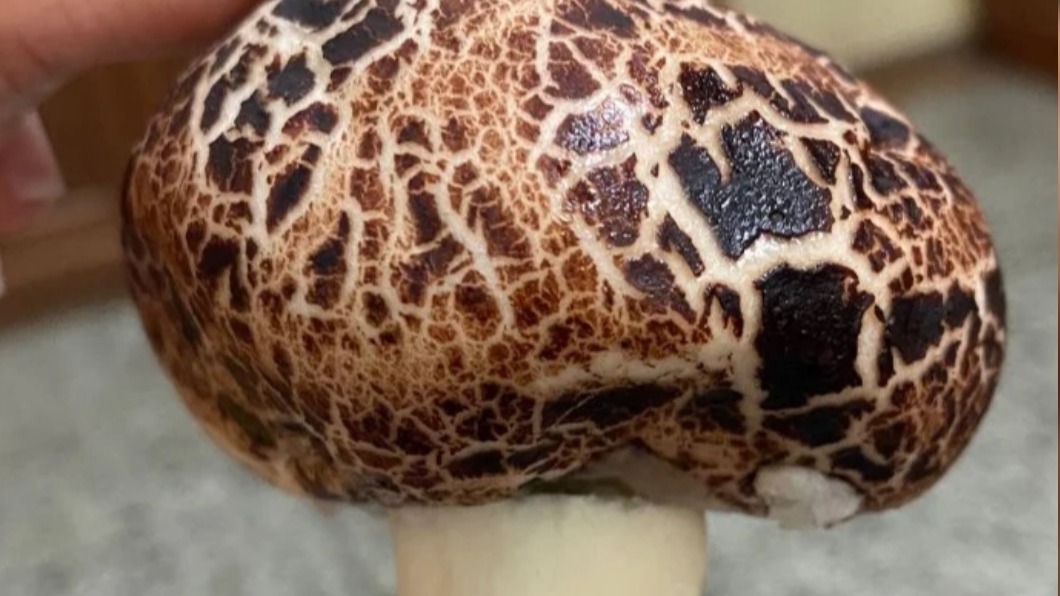 女大生掏媽媽牌香菇煮湯 一切開臉秒綠:藍瘦香菇