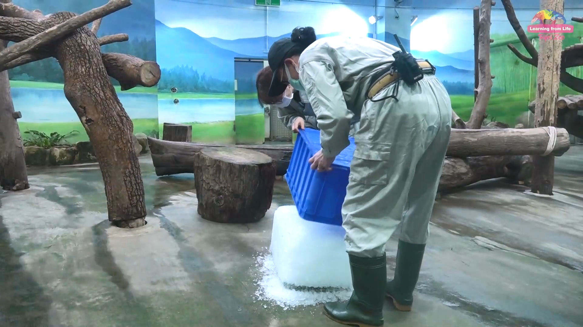 圖/台北市立動物園提供