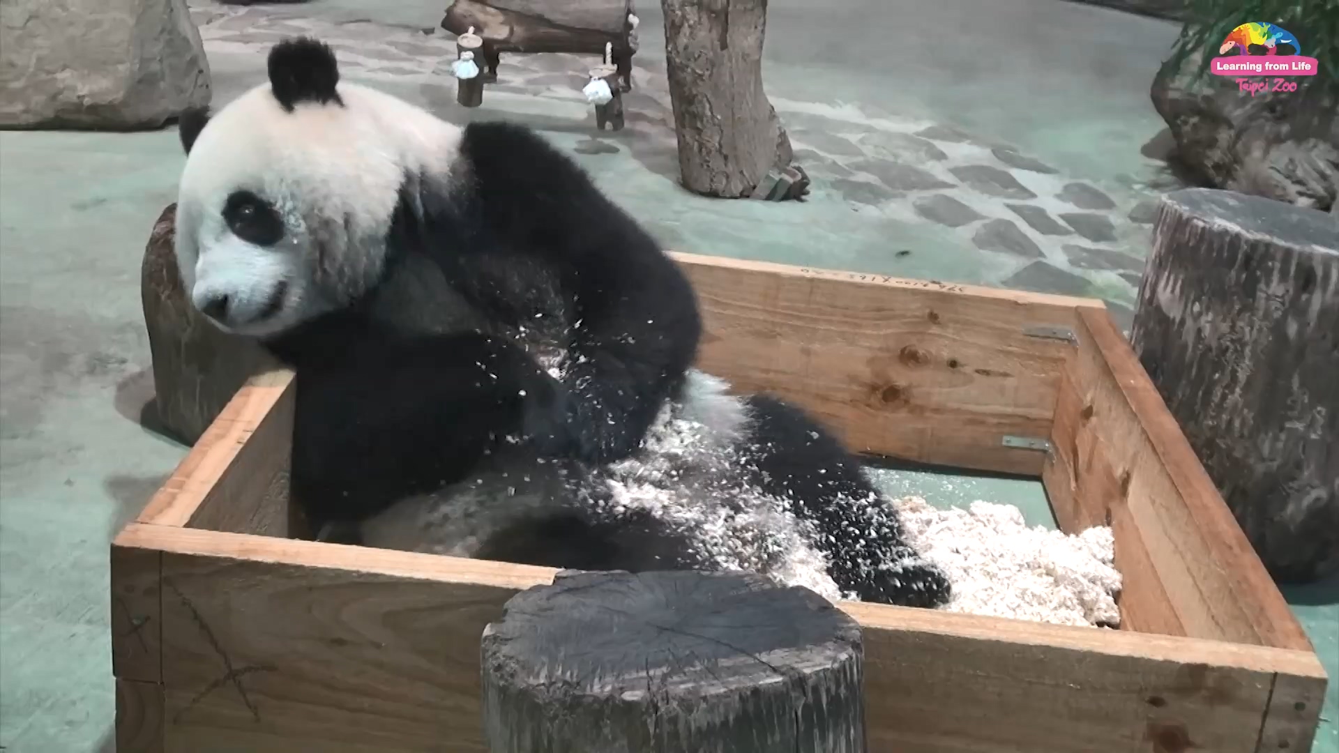 圖/台北市立動物園提供