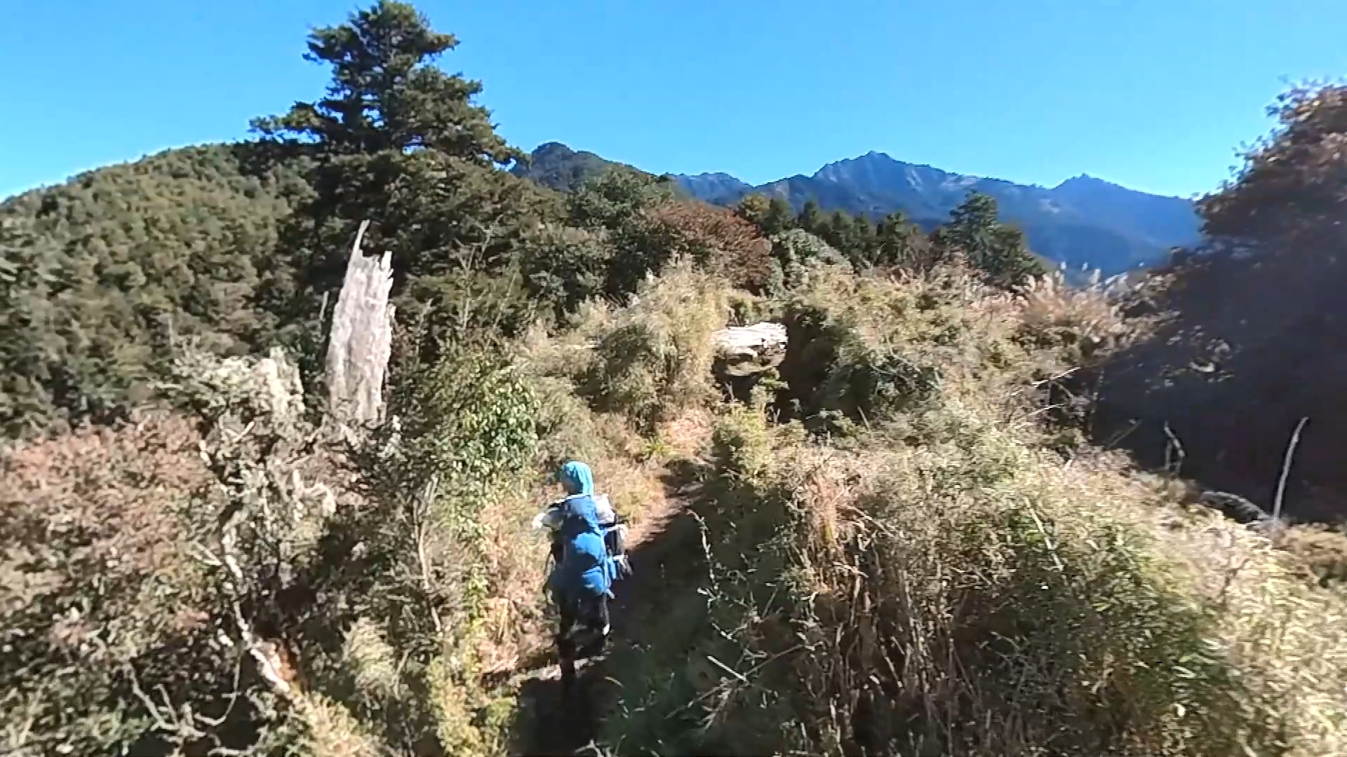 圖/翻攝自報天氣-中央氣象局