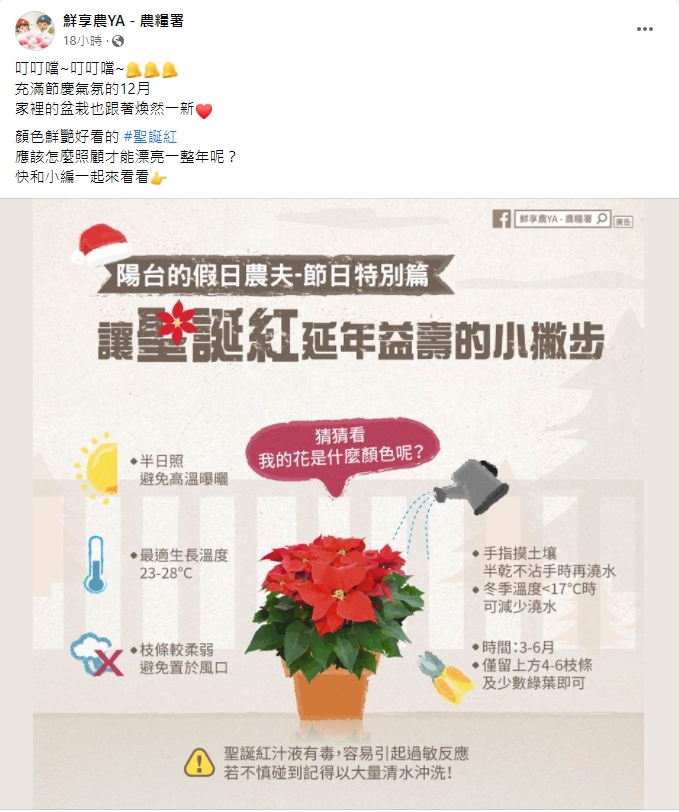 農糧署傳授照顧聖誕紅的方法。（圖／翻攝自鮮享農YA - 農糧署臉書）