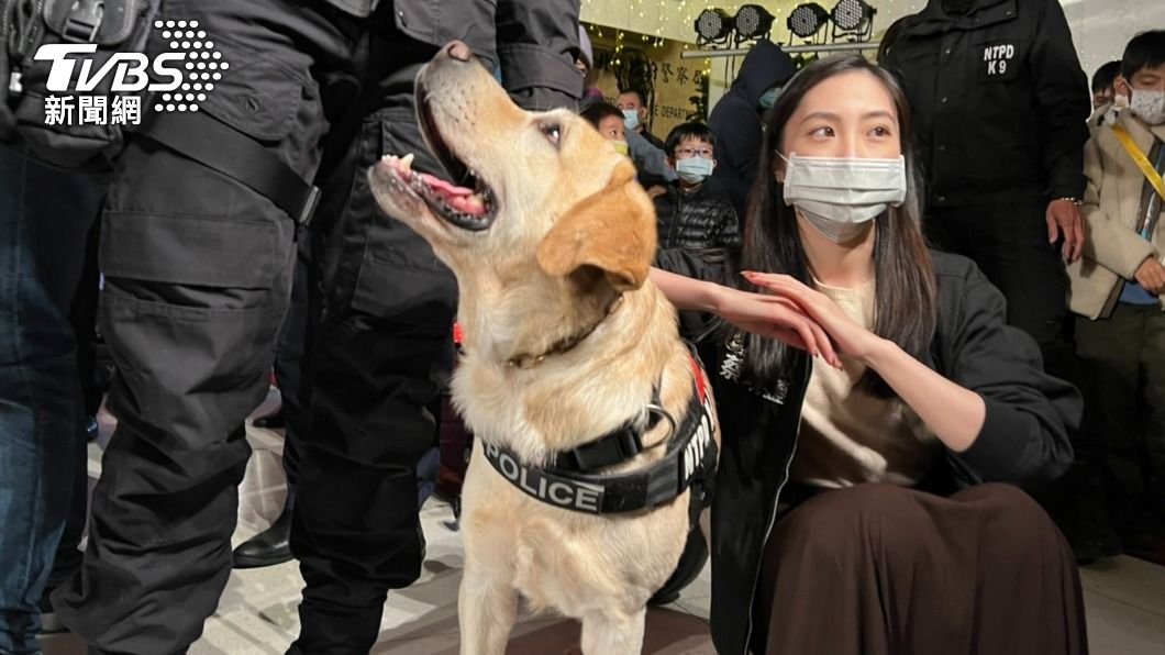 警犬人氣相當高 。(圖/TVBS)