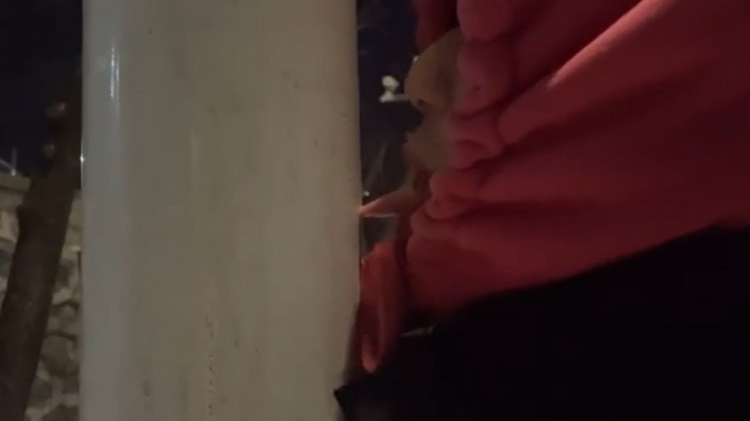 男大生舔-16℃欄杆　痛失「半截舌皮」濺血：值得紀念