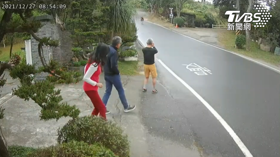 水鹿被屋主嚇到跑往路旁林地,民眾出來查看、拍照。(圖/讀者提供)