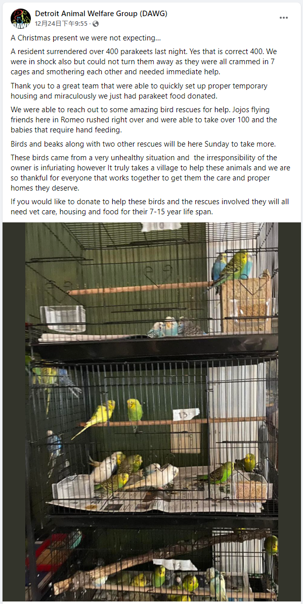 鸚鵡們被擠在環境不佳的籠子內，讓動福人員超氣憤。（圖／翻攝自Detroit Animal Welfare Group (DAWG)臉書）