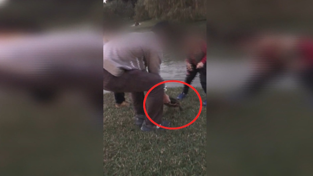 教壞孩子!爸爸帶頭惡搞動物 拉扯「烏龜」拖著走