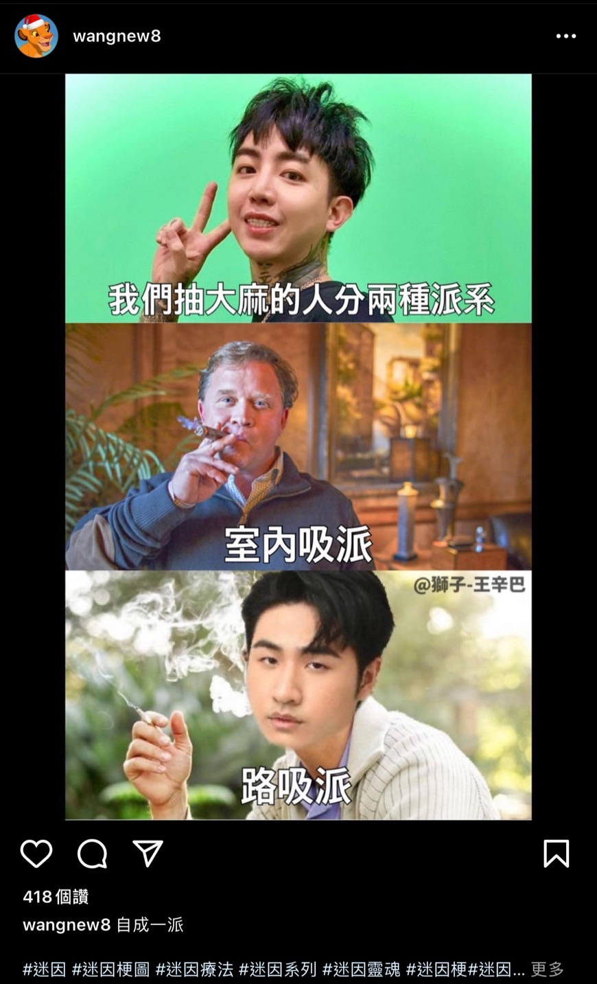 網友自製哏圖。（圖／Instagram 獅子王辛巴 wangnew8）