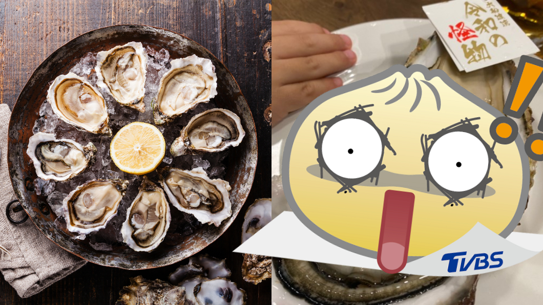 「怪物級牡蠣」現世!比手掌大只要百元 巨無霸照驚呆網